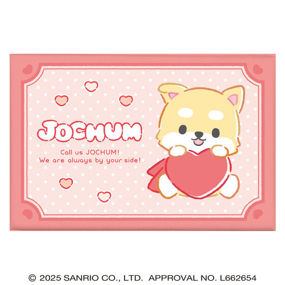 �i�n�b�g�t�l �c�C���M�t�g�i11��Z�b�g�j