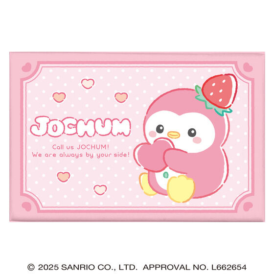 �i�n�b�g�t�l �c�C���M�t�g�i11��Z�b�g�j