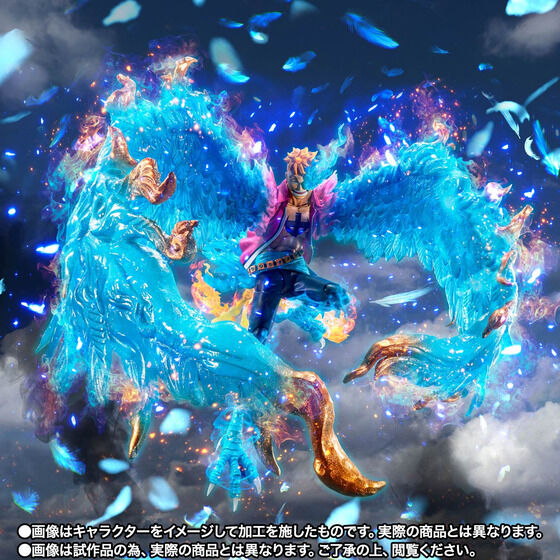 S.H.Figuarts }R -}tH[h㌈-