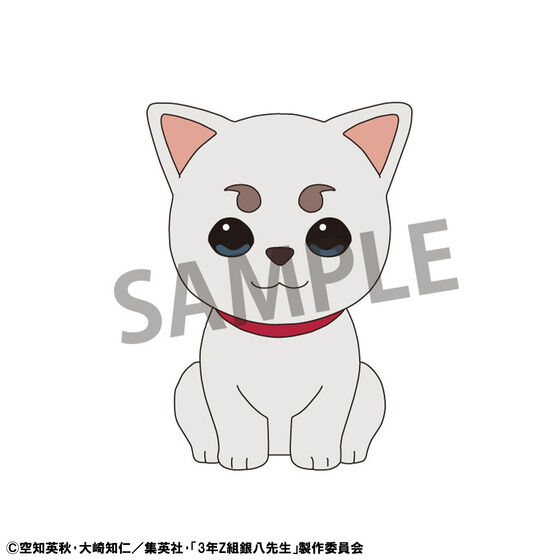 傱RNV 3NZg┪搶 vol.1 Zbg