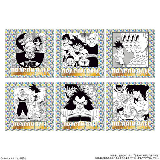 hS{[40NLO IWiCXg[V V[EGn[XQ(20)