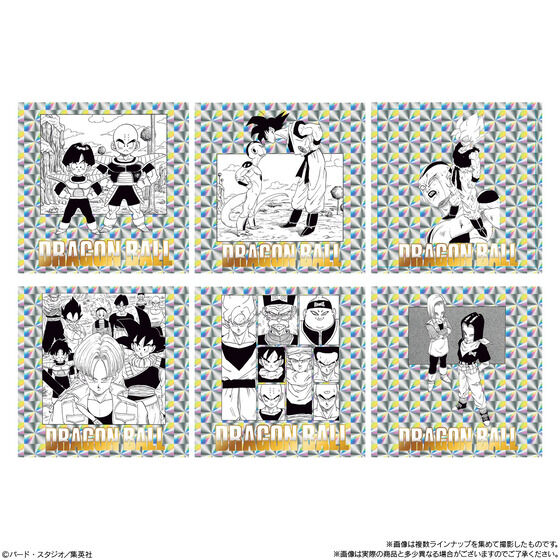 hS{[40NLO IWiCXg[V V[EGn[XQ(20)