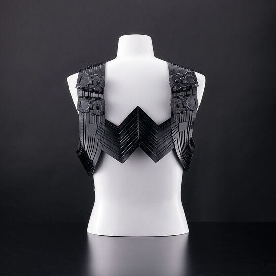 yCSM T2KCAver.2ΉzDXʃC_[G^[i }bNXWPbgZbgver.2y2026N4z