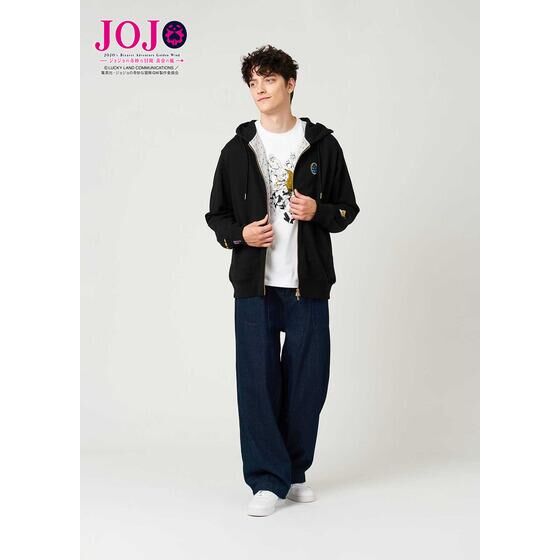 AjwWW̊Ȗ` ̕x Ojt p[J[