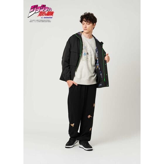 AjwWW̊Ȗ` _Ch͍ӂȂx Ojt }Eep[J[