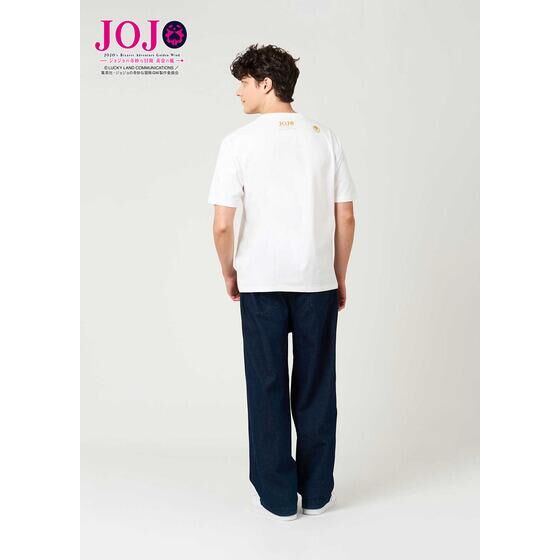 AjwWW̊Ȗ` ̕x Ojt TVcA