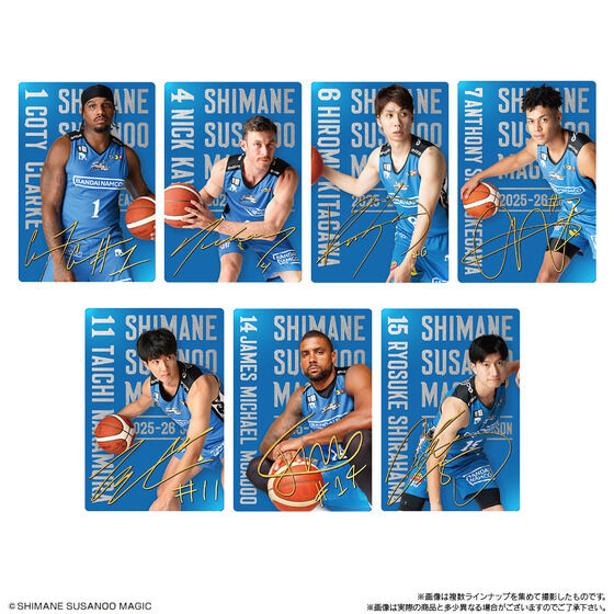 �����X�T�m�I�}�W�b�N �c�C���E�G�n�[�X 2025-26 SEASON(20��)