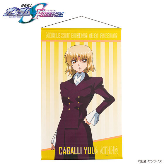 @mK_SEED FREEDOM LN^[CXg ^yXg[iS10jy2026N1z