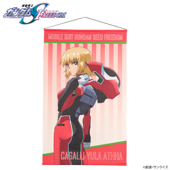 @mK_SEED FREEDOM LN^[CXg ^yXg[pCbgX[cver.iS10jy2026N1z