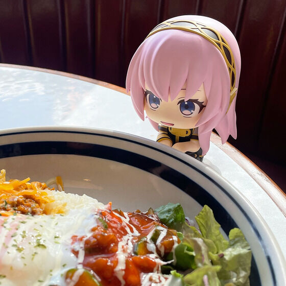 �邩���� �������J��KAITO �Z�b�g�y������z�c�t���z