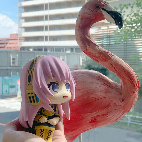 �邩���� �������J��KAITO �Z�b�g�y������z�c�t���z