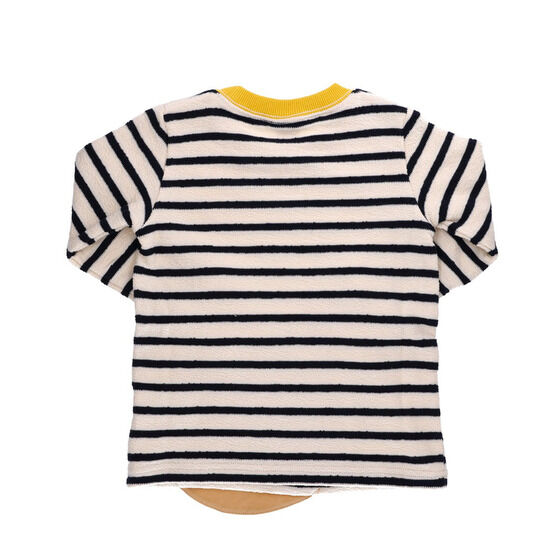 ����A�b�v���P�{�[�_�[�g���[�i�[