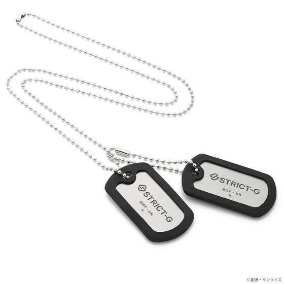 STRICT-Gw@mK_ S̃ItFYxhbN^O OEI[KX