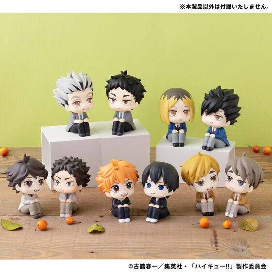 �邩���� �n�C�L���[!! �ؓe�����Y�y�Ĕ́z/�Ԉ������y�Ĕ́z