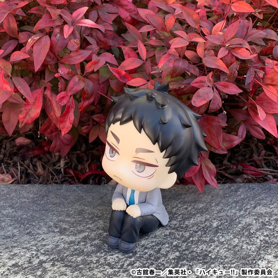 �邩���� �n�C�L���[!! �ؓe�����Y�y�Ĕ́z/�Ԉ������y�Ĕ́z