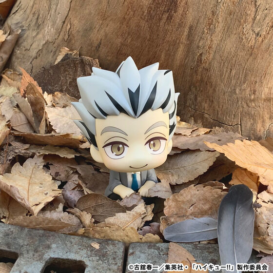 �邩���� �n�C�L���[!! �ؓe�����Y�y�Ĕ́z/�Ԉ������y�Ĕ́z