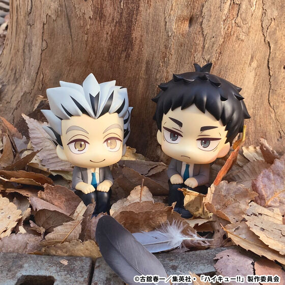 �邩���� �n�C�L���[!! �ؓe�����Y�y�Ĕ́z/�Ԉ������y�Ĕ́z