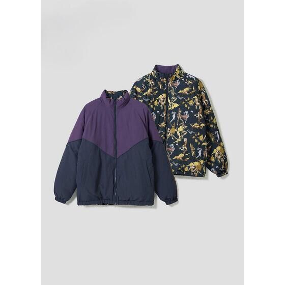 AjwWW̊Ȗ` ̕x Ojt o[Vuu]