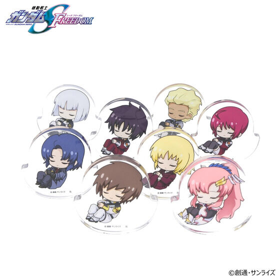 �@����m�K���_��SEED FREEDOM ��������A�N�����X�^���h�i�S8��j