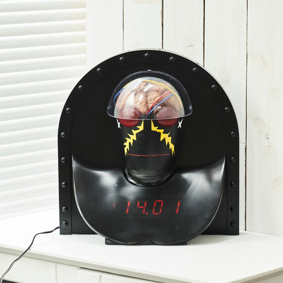 �l���l�ԃL�J�C�_�[�@50���N�L�O�@�n�J�C�_�[�������v