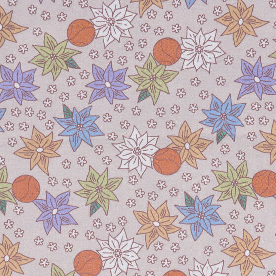 �@����m�K���_��00�@�t�����[���`�[�t�A�C�e���@��ʂ��� �y2026�N1�������z