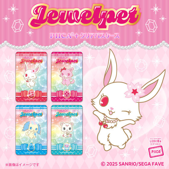 �W���G���y�b�g�@PIICA�{�N���A�p�X�P�[�X