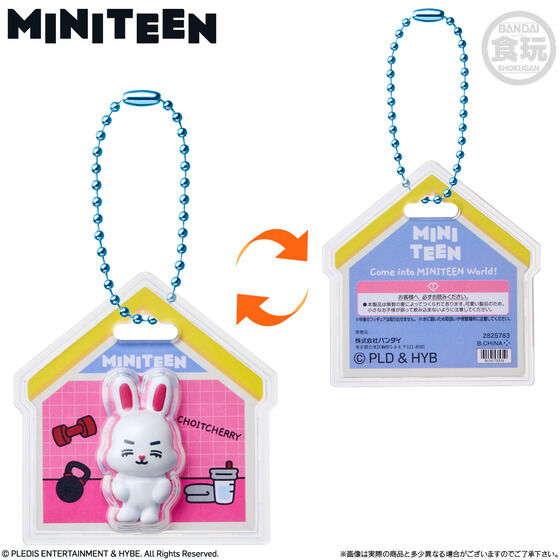 MINITEEN �p�b�P�[�W�`���[��&�O�~(12��)