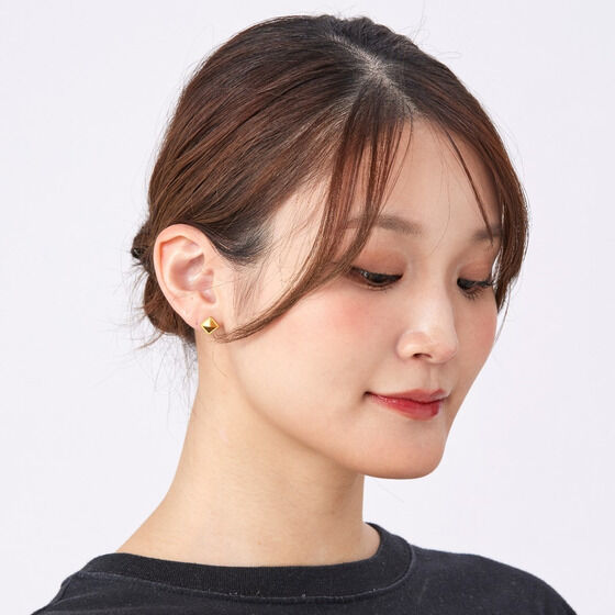 �@����m�K���_�� �S���̃I���t�F���Y �V�m�̃C���[�A�N�Z�T���[�i2026�N3�������j