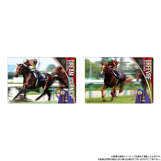 �T���u���b�h�z�[�X�R���N�V���� �c�C���E�G�n�[�X ��4R(20��)