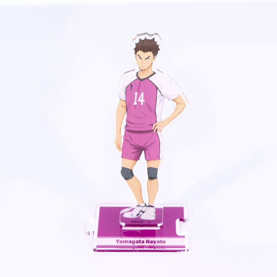 �n�C�L���[!! �Ȃ���A�N�����X�^���h �y�����򍂍Z�z�i�S8��j�y26�N4�����͂��z