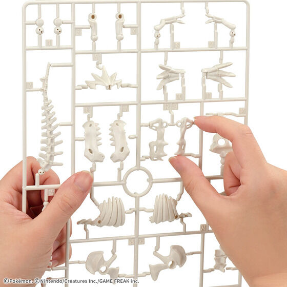 ポケモンプラモコレクション カセキポケモンシリーズ ガチゴラス