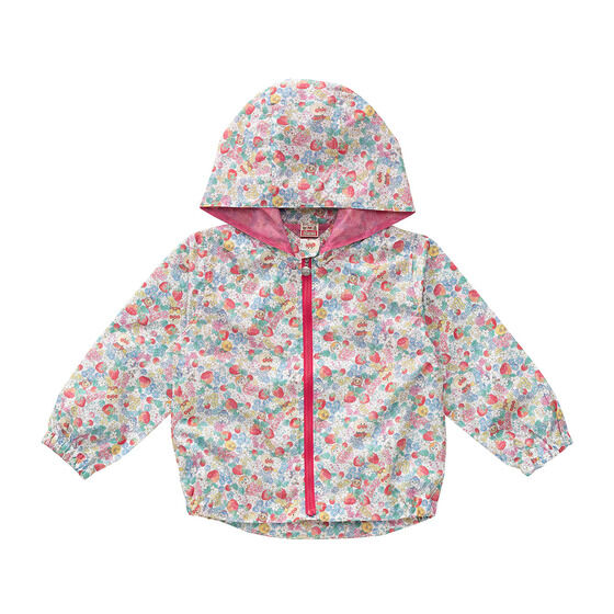 �����E�C���h�u���[�J�[