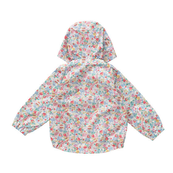 �����E�C���h�u���[�J�[