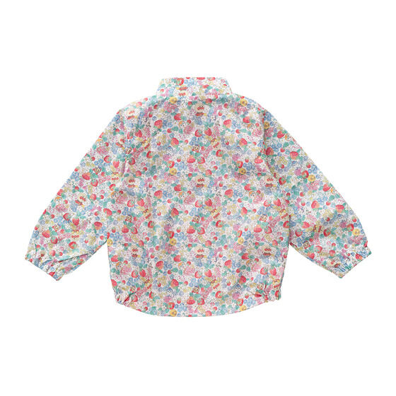 �����E�C���h�u���[�J�[