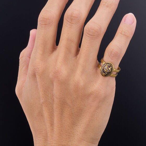 �W���W���̊�Ȗ`�� �_�C�������h�͍ӂ��Ȃ� �A�N�Z�T���[�R���N�V�����y2026�N8�������z