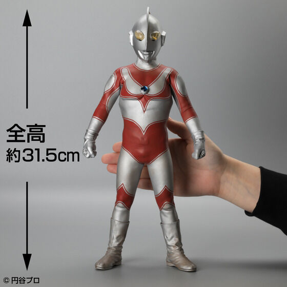 �r���P������ �v���~�A���E�R���v���[�g�V���[�Y �ɏ�ʐF������ �u�A���Ă����E���g���}���v