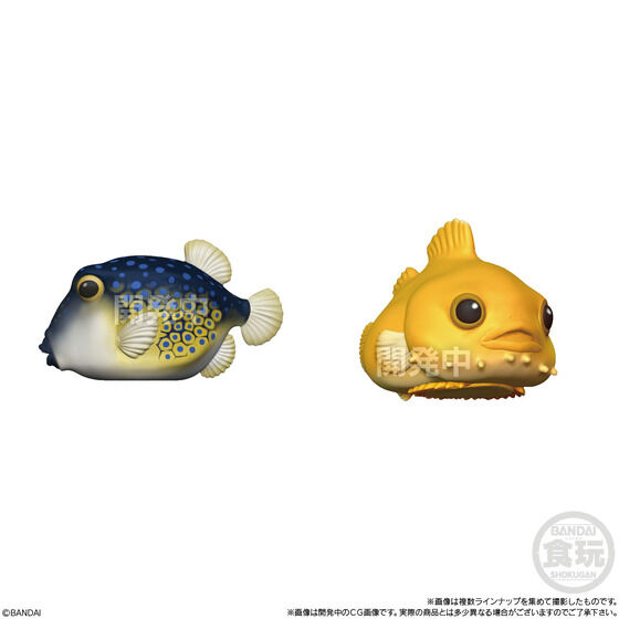 ����c���Ă̂�t�����Y(12��)