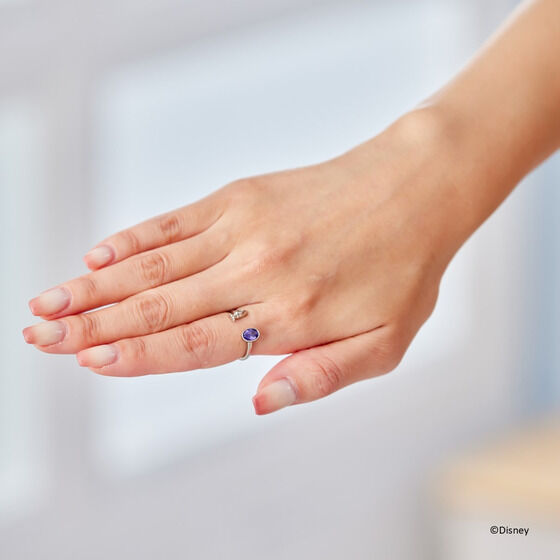 �Y�[�g�s�A�@�Z�b�g�����O�i2026�N4�������j