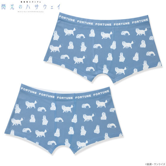 �@����m�K���_�� �M���̃n�T�E�F�C �{�N�T�[�p���c�i�S2��j