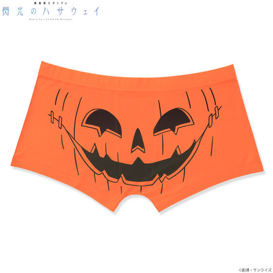 �@����m�K���_�� �M���̃n�T�E�F�C �{�N�T�[�p���c�i�S2��j