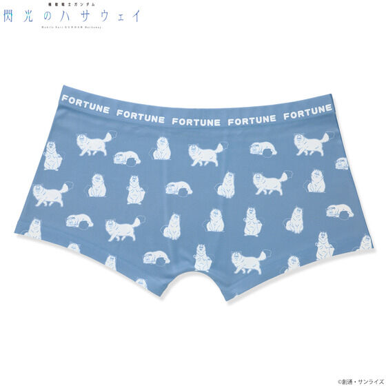 �@����m�K���_�� �M���̃n�T�E�F�C �{�N�T�[�p���c�i�S2��j