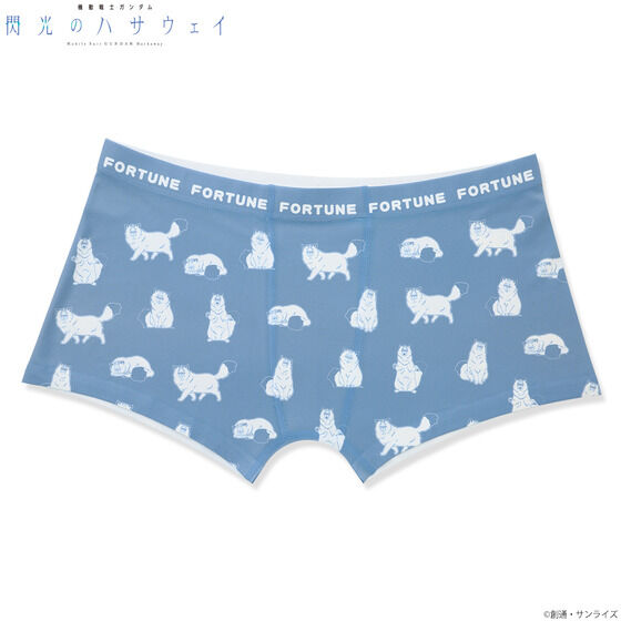 �@����m�K���_�� �M���̃n�T�E�F�C �{�N�T�[�p���c�i�S2��j