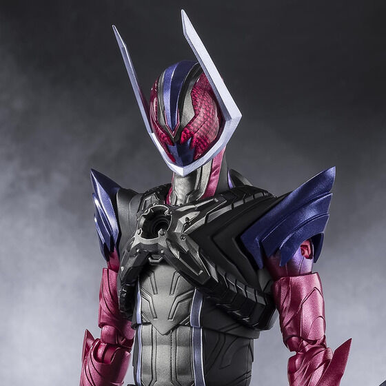 S.H.Figuarts ���ʃ��C�_�[�h�H�[��
