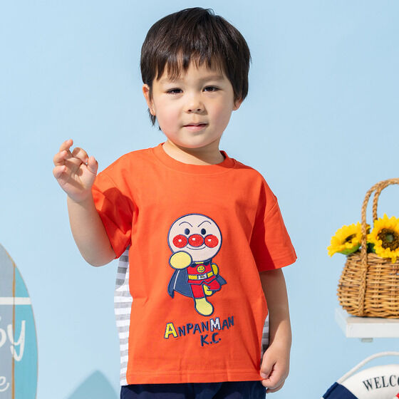 �A�b�v���P�ؑ֔���T�V���c