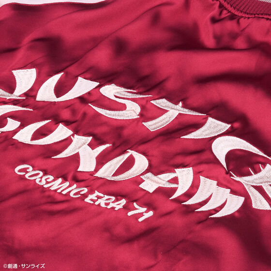 STRICT-G�w�@����m�K���_��SEED�x�X�J�W���� �W���X�e�B�X�K���_��