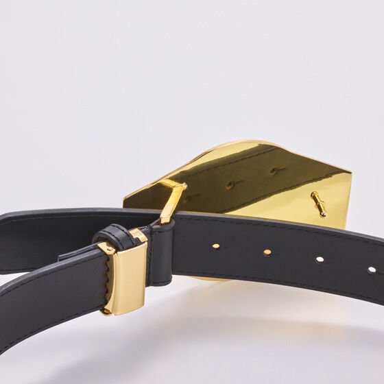 �h���S���{�[��Z �~�X�^�[�E�T�^���̃`�����s�I���x���g