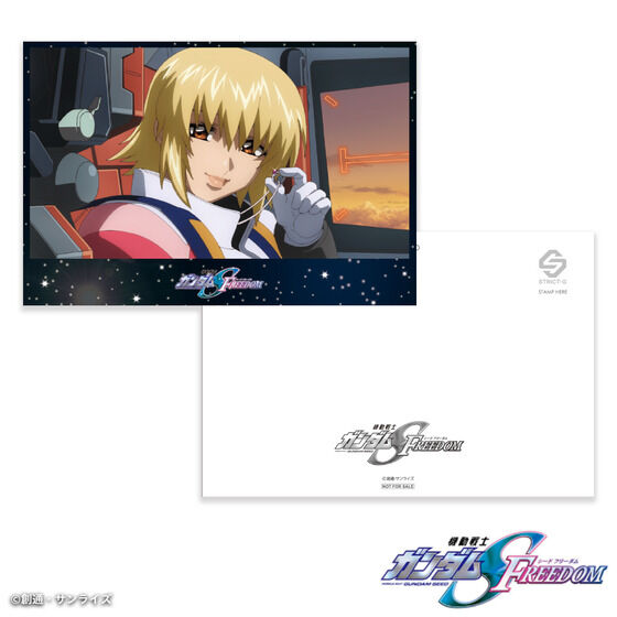 STRICT-G THE KISS�w�@����m�K���_��SEED FREEDOM�x�V���o�[�����O �J�K���E�����E�A�X�n�y�Ĕ́F2026�N10�������z