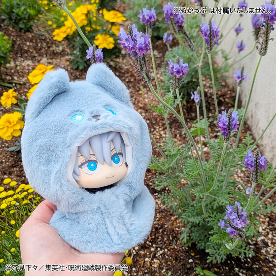 �邩���� �|���`�� �A�j���w��p����x 5���N �Տ�I�m�^�����b�^�B����K�N�^�܏���
