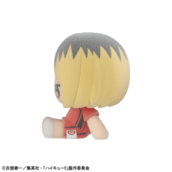 ぬいっぽ ハイキュー!! セット | ハイキュー!! フィギュア | アニメ