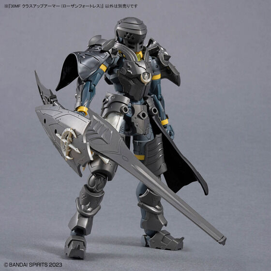30MF クラスアップアーマー (ローザンフォートレス)